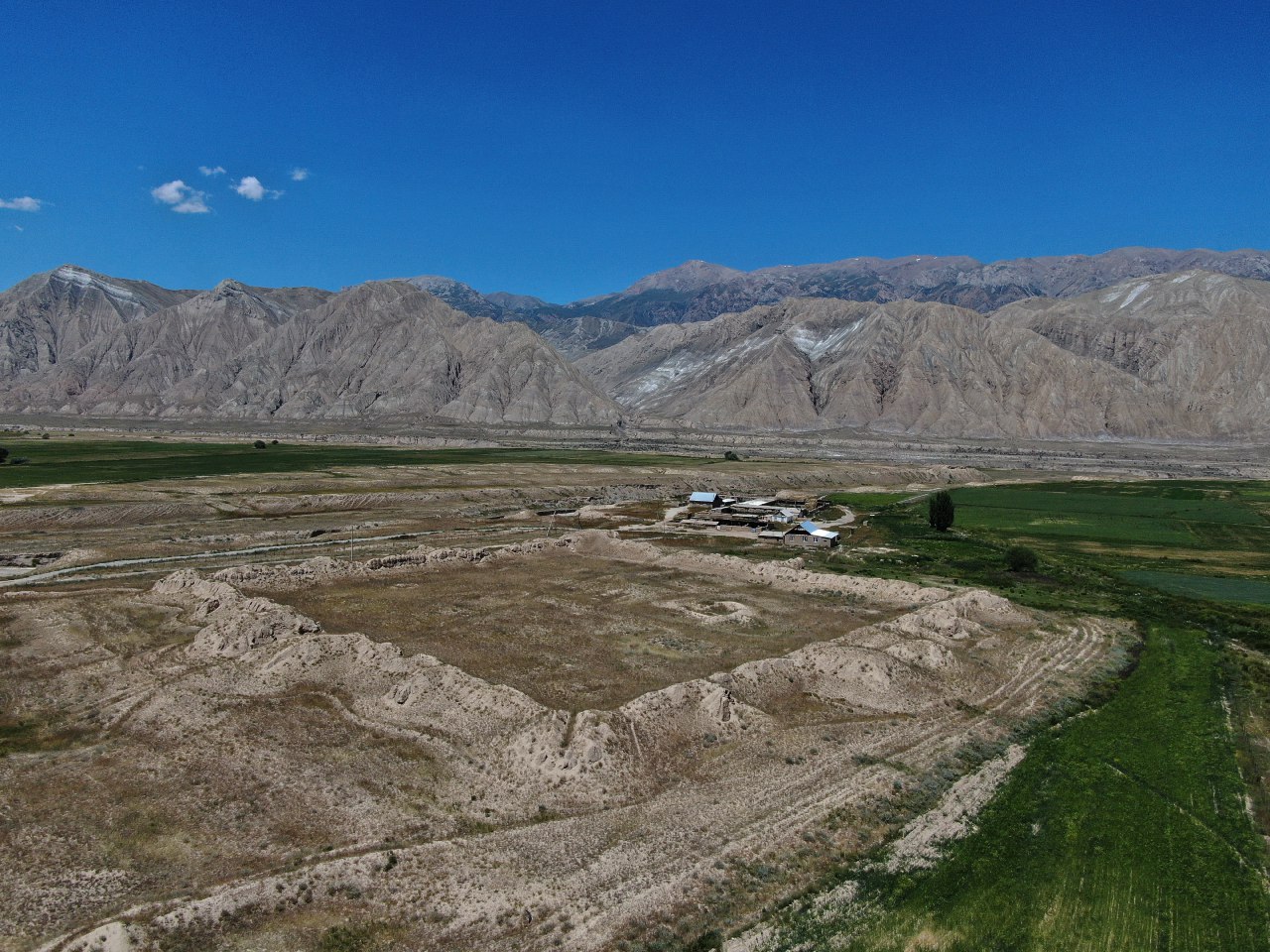 uning mushuk sargish sochli oddiy qiz